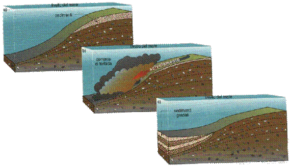 Figura 2 Meccanismo di formazione di una torbidite: i sedimenti si depositano sulla piattaforma continentale (fig.a); superato il punto di equilibrio si origina una corrente di torbida (fig.b); i sedimenti si ridepositano in modo gradato, ai piedi della scarpata